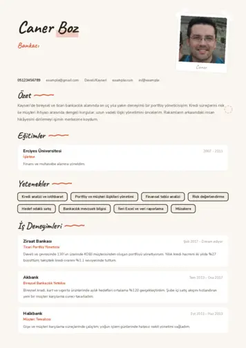  cv indir